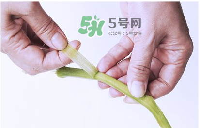 南瓜苗怎么做好吃？南瓜苗怎么撕？
