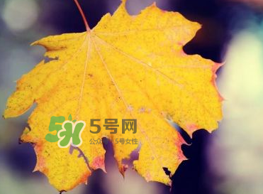 立秋后吃什么好？立秋后怎么養(yǎng)生？