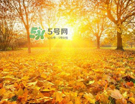 立秋后吃什么好？立秋后怎么養(yǎng)生？