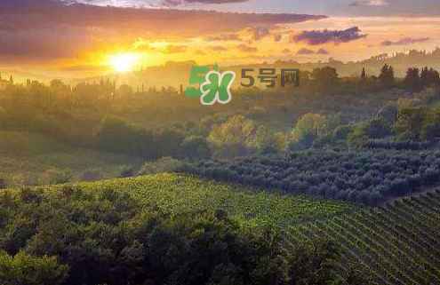 立秋后吃什么好？立秋后怎么養(yǎng)生？