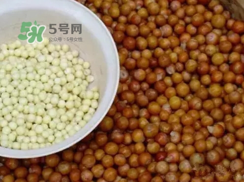 雞頭米有什么營(yíng)養(yǎng)價(jià)值？雞頭米的功效與作用