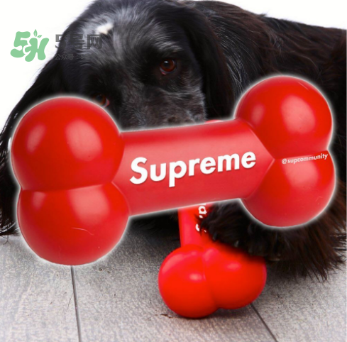 supreme狗骨頭玩具是真的嗎？supreme骨頭玩具會發(fā)售嗎？