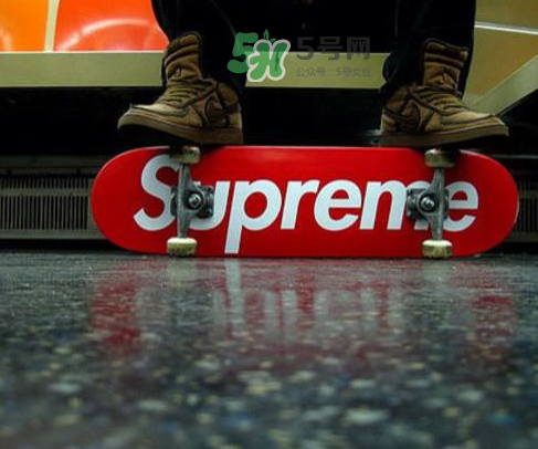 supreme狗骨頭玩具是真的嗎？supreme骨頭玩具會發(fā)售嗎？