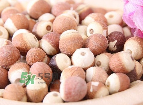 é›žé ­ç±³æ˜¯æ¶¼æ€§çš„å—Žï¼Ÿé›žé ­ç±³æ˜¯å“ªé‡Œçš„ç‰¹ç”¢(chÇŽn)