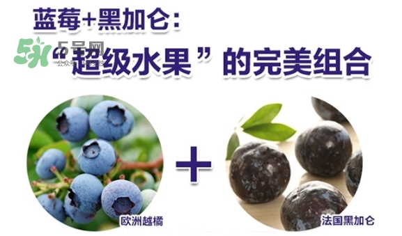 fancl藍(lán)莓護(hù)眼怎么樣？fancl藍(lán)莓護(hù)眼和pola護(hù)眼哪個(gè)好