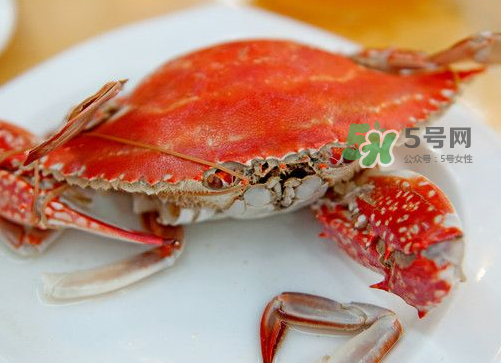 梭子蟹可以清蒸嗎？梭子蟹蒸還是煮？