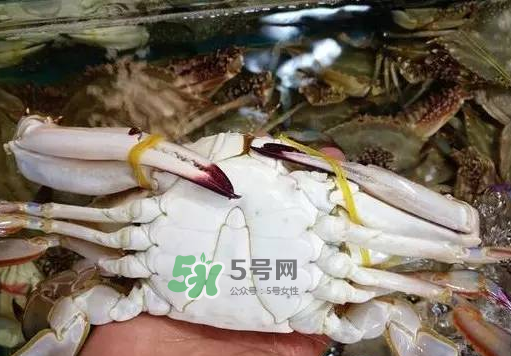 梭子蟹放冷藏還是冷凍？梭子蟹可以放速凍嗎？