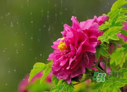 2017處暑會(huì)下雨嗎？處暑會(huì)下雨好嗎？