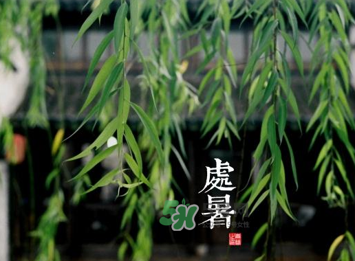 2017處暑還熱嗎？2017處暑后天氣還熱嗎？