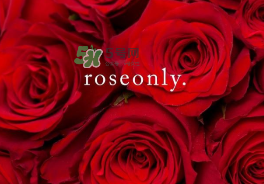 2017七夕禮盒roseonly多少錢(qián)？roseonly巨型玫瑰禮盒多少錢(qián)？