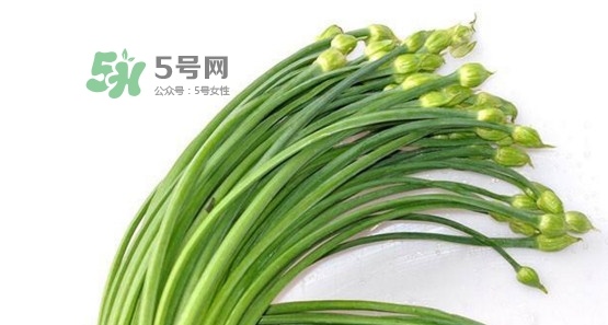 韭菜苔孕婦能吃嗎？孕婦可以吃韭菜苔嗎