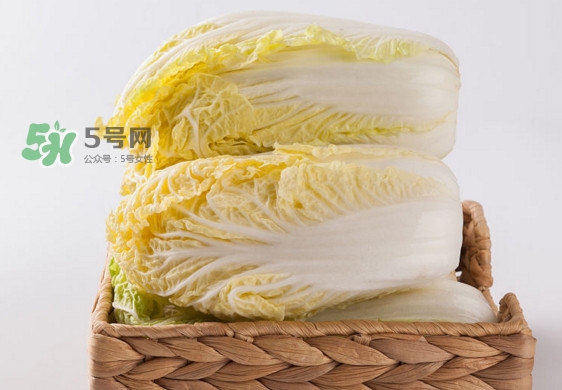 娃娃菜是什么季節(jié)的？娃娃菜什么時(shí)候種植