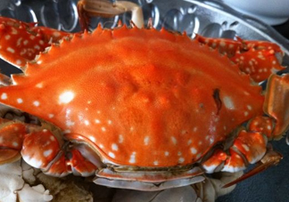 梭子蟹可以清蒸嗎？梭子蟹蒸還是煮？