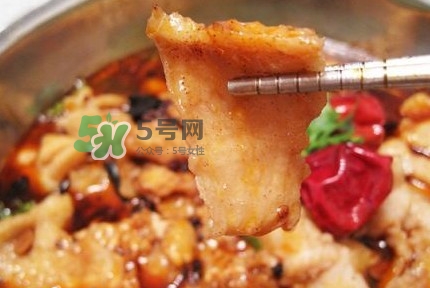 龍利魚有刺嗎？龍利魚有魚鱗嗎