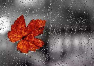 2017處暑會下雨嗎？處暑會下雨好嗎？