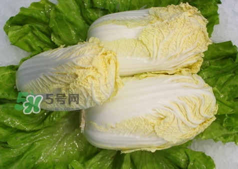 娃娃菜可以放冰箱嗎？娃娃菜可以放多久