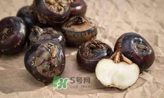 野荸薺是什么樣子的？野荸薺的營(yíng)養(yǎng)價(jià)值