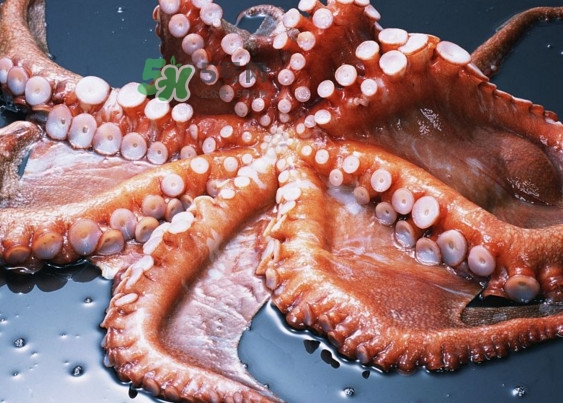 章魚有幾個(gè)心臟？章魚有幾條腿