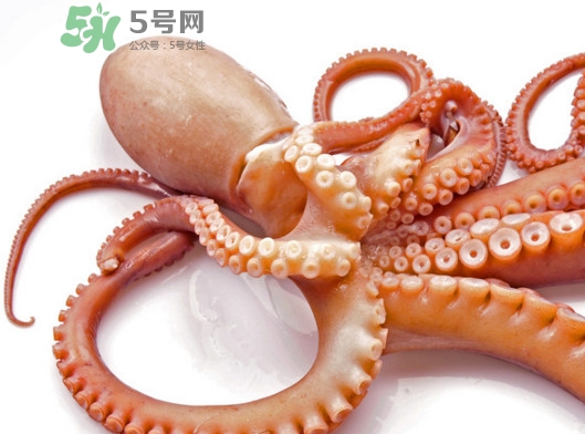 章魚(yú)血是什么顏色？章魚(yú)血為什么是藍(lán)色？