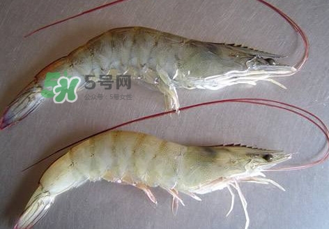 å¤ªæ¹–ç™½è¦å¤šå°‘éŒ¢(qiÃ¡n)ä¸€æ–¤ï¼Ÿå¤ªæ¹–ç™½è¦å¹²å¤šå°‘éŒ¢(qiÃ¡n)ä¸€æ–¤
