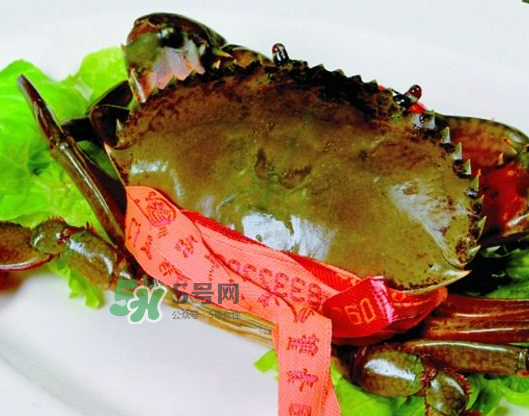 青蟹能放幾天？青蟹能活多久？