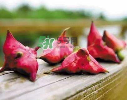 紅菱什么時(shí)候上市？什么時(shí)候采紅菱