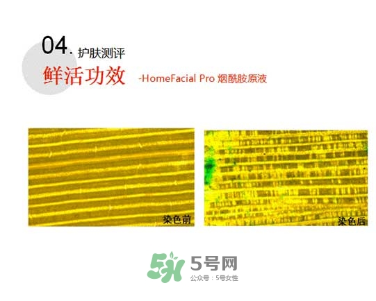 homefacialpro煙酰胺原液怎么樣？hfp煙酰胺原液好用嗎