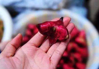 紅菱怎么吃？吃紅菱有什么好處？