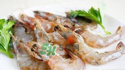 白蝦有寄生蟲嗎？如何選購新鮮的蝦