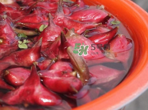 紅菱什么時(shí)候上市？什么時(shí)候采紅菱
