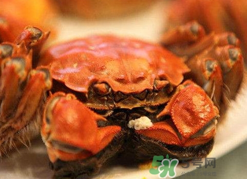 太湖蟹什么時(shí)候上市？太湖蟹幾月份有