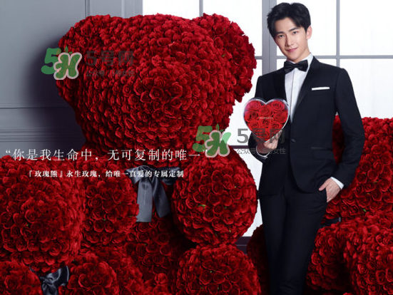 roseonly熊怎么樣？roseonly玫瑰熊好看嗎？
