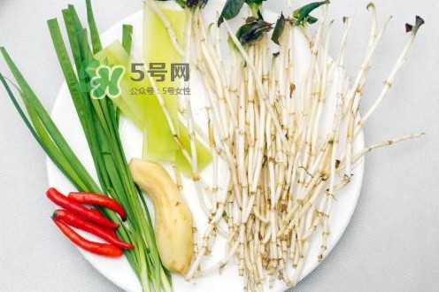 魚腥草用開水泡可以嗎？魚腥草用量多少克？