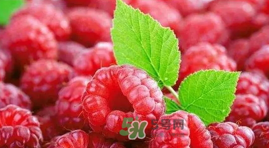pola莓果酵素怎么吃？pola紅莓酵素怎么樣？