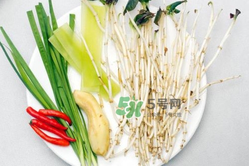 魚腥草什么季節(jié)有？魚腥草什么時候采摘最好