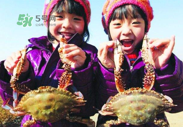 青島梭子蟹多少錢(qián)一斤？青島梭子蟹什么時(shí)候上市？