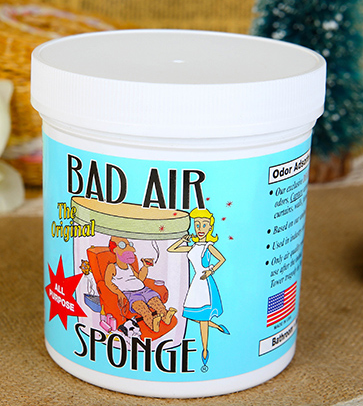 Bad Air Sponge有用嗎？Bad Air Sponge效果如何？