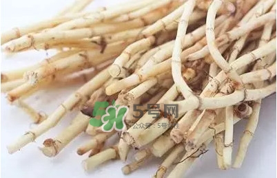 折耳根怎么清洗？折耳根如何冼才干凈