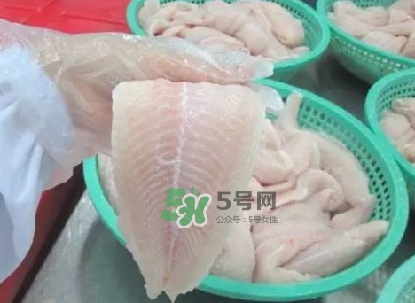 巴沙魚有刺嗎？巴沙魚有寄生蟲嗎