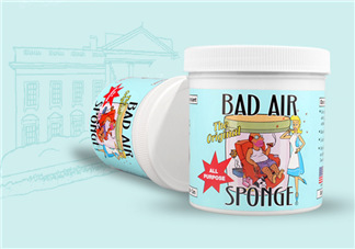 Bad Air Sponge有用嗎？Bad Air Sponge效果如何？