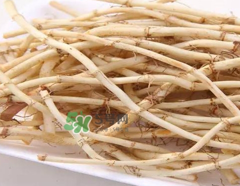 經(jīng)常吃折耳根有什么好處？折耳根的用法用量