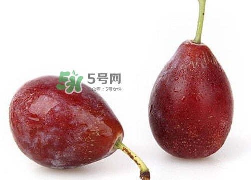 烏梅是西梅嗎？烏梅和西梅的區(qū)別