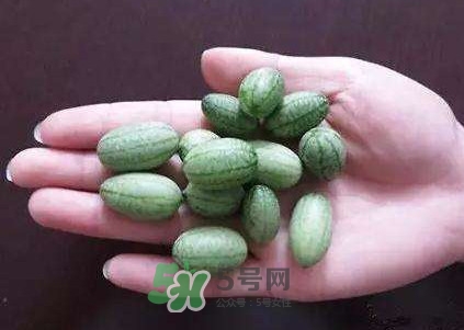 拇指西瓜怎么吃？拇指西瓜好吃嗎