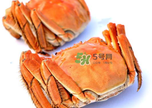 板蟹蒸多長(zhǎng)時(shí)間？板蟹蒸多久時(shí)間能熟？