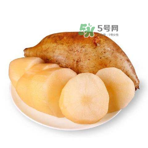 雪蓮果怎么挑？雪蓮果怎么儲(chǔ)存方法？