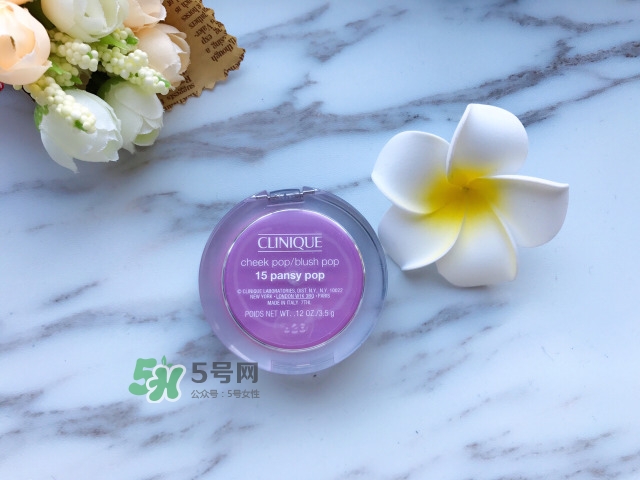 倩碧小雛菊腮紅評(píng)測 倩碧小雛菊腮紅使用心得