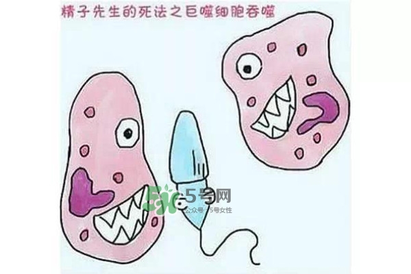 殺精的食物有哪些？吃什么東西殺精？