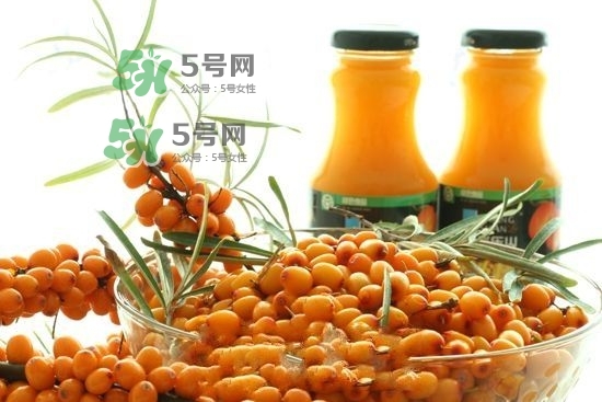 沙棘是什么？沙棘的功效與作用