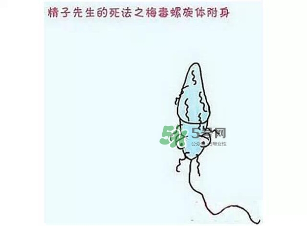殺精的食物有哪些？吃什么東西殺精？