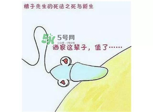 殺精的食物有哪些？吃什么東西殺精？